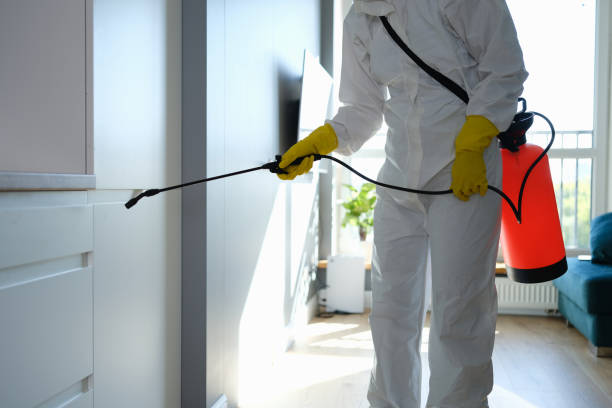 Best Home Mold Removal  in Olathe, CO