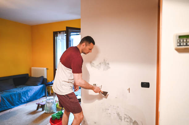 Best Mold Removal Near Me  in Olathe, CO